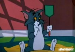 《猫和老鼠》中汤姆赢了几次