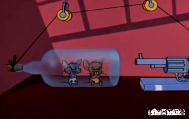 《猫和老鼠》中汤姆赢了几次