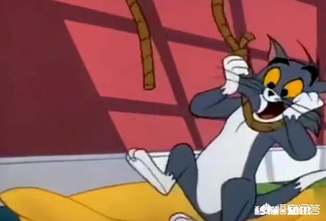 《猫和老鼠》中汤姆赢了几次