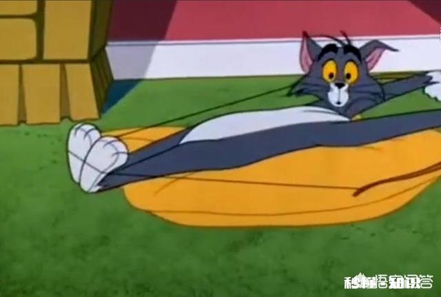 《猫和老鼠》中汤姆赢了几次