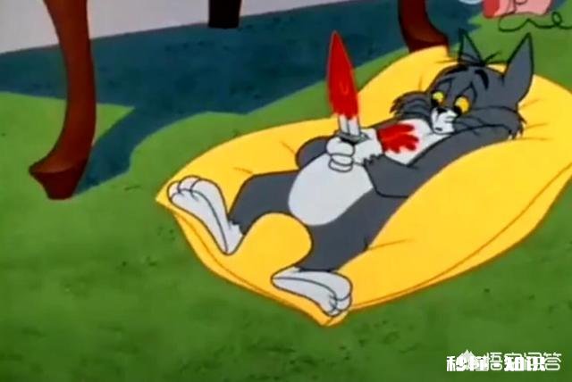 《猫和老鼠》中汤姆赢了几次