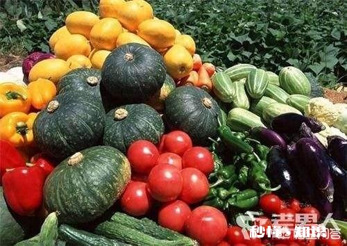 上联：春随落花走，下联怎么对