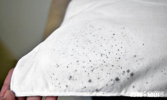 衣服发霉怎么洗掉黑斑