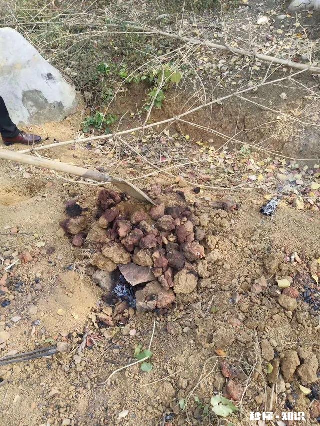 窑鸡是怎么做的