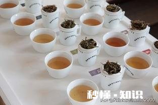 中国是茶的故乡,近千种茶,审评标准是什么专业高级评茶师就能代表权威吗