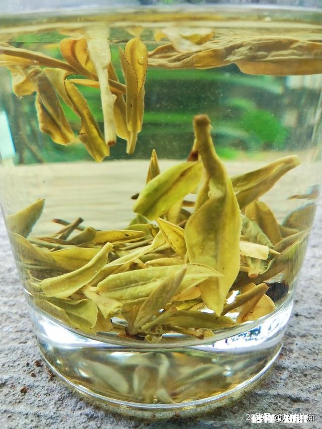 为什么绿茶泡出来的茶汤那么脏，铁观音泡出的茶汤那么清澈