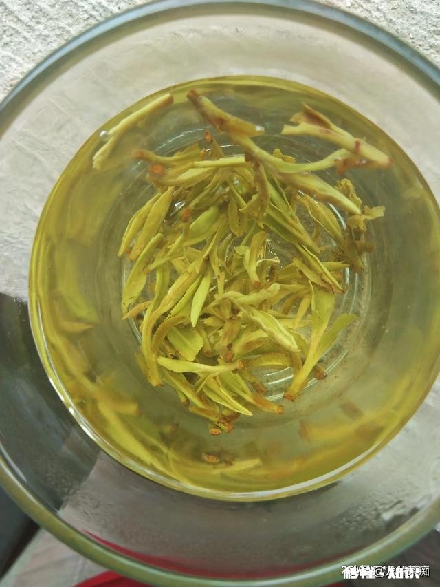 为什么绿茶泡出来的茶汤那么脏，铁观音泡出的茶汤那么清澈