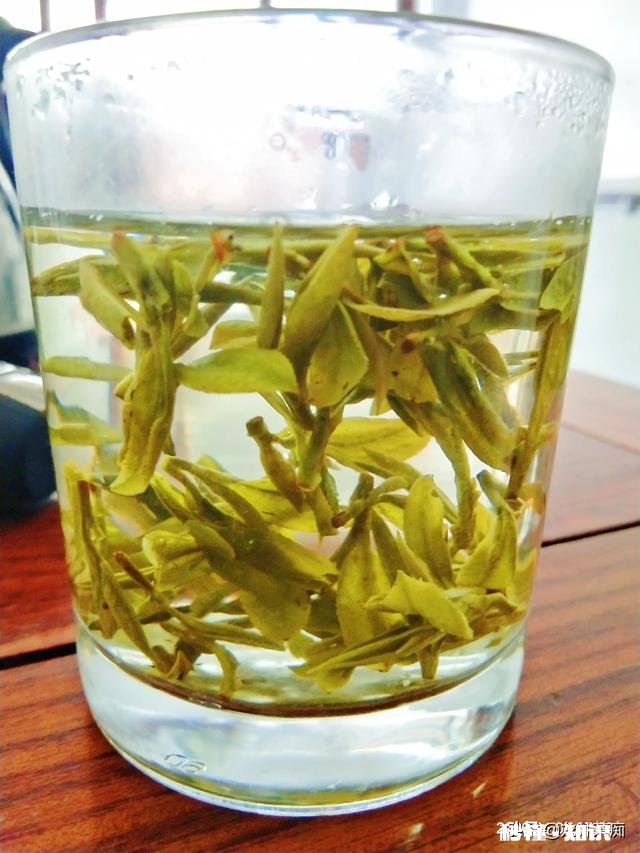 为什么绿茶泡出来的茶汤那么脏，铁观音泡出的茶汤那么清澈
