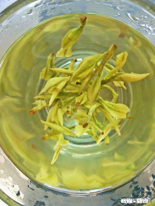 为什么绿茶泡出来的茶汤那么脏，铁观音泡出的茶汤那么清澈