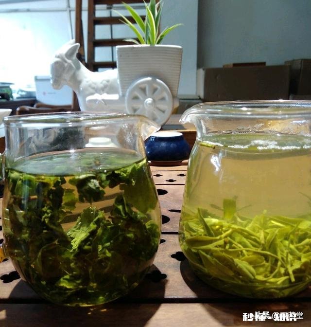 为什么绿茶泡出来的茶汤那么脏，铁观音泡出的茶汤那么清澈