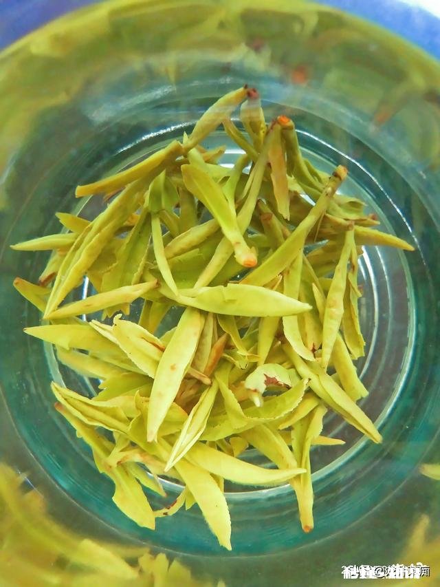 为什么绿茶泡出来的茶汤那么脏，铁观音泡出的茶汤那么清澈