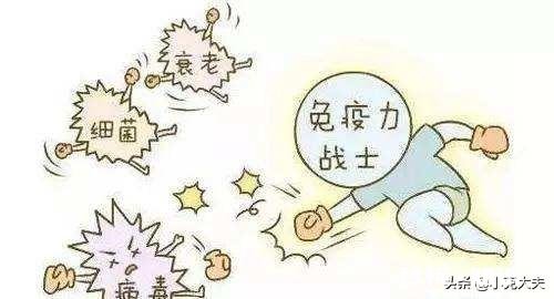 如何保肝护肝,养肝护肝的方法