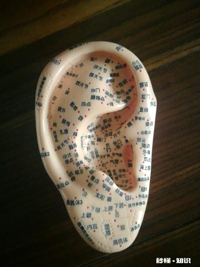 人体哪个部位反射区按摩效果好