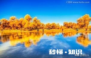 国庆节你会选择去热门景点旅游吗,为什么