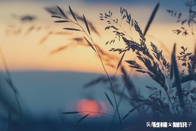 你怎么看待现在有些年轻人迟睡早起