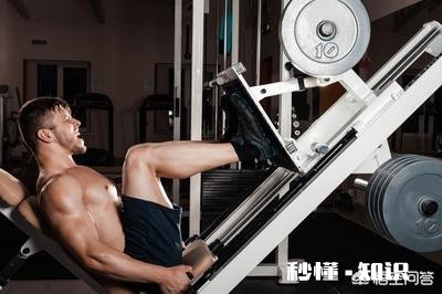 请问健身大神们：每周健身按胸、背、腿、肩、手臂这样的顺序合理吗为什么