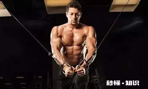 请问健身大神们：每周健身按胸、背、腿、肩、手臂这样的顺序合理吗为什么