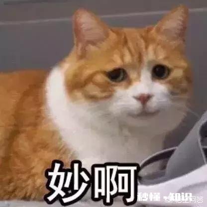主题餐厅怎么设计好