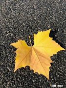 你们有没有见过二婚女带娃彩礼30万嫁头婚男