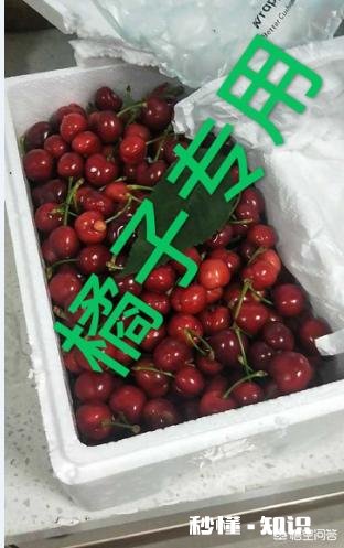 在哪里买水果最好