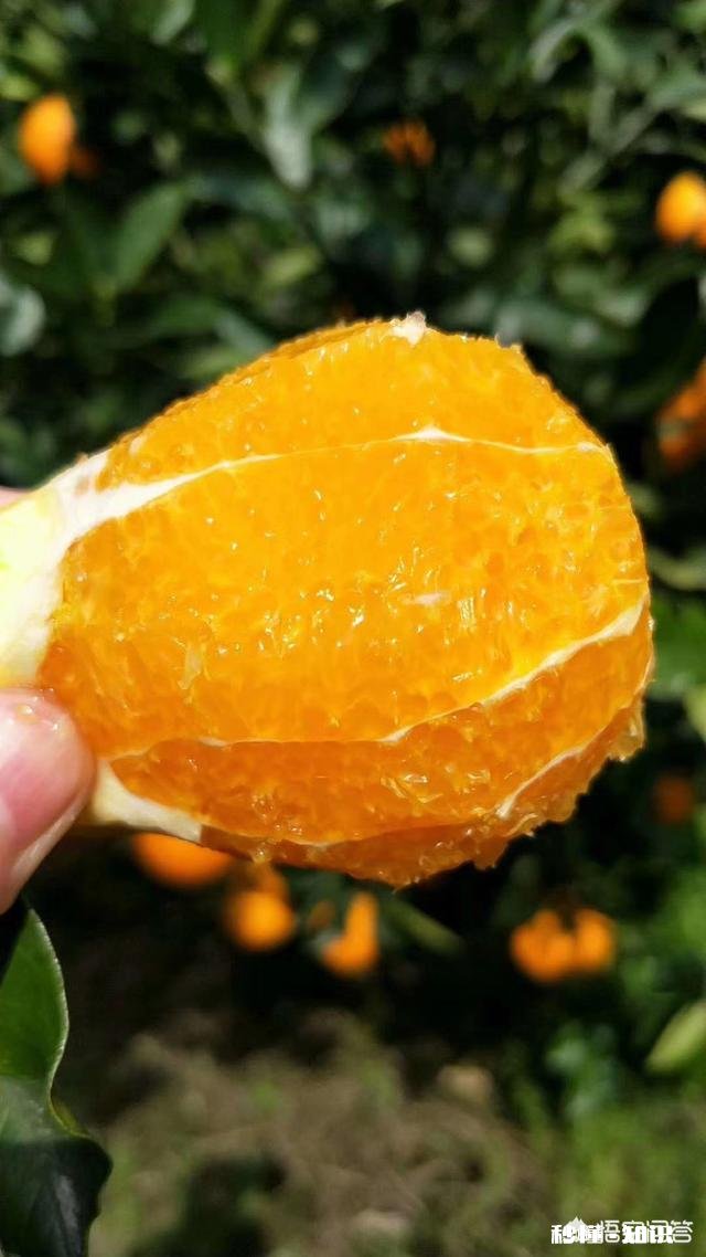 在哪里买水果最好