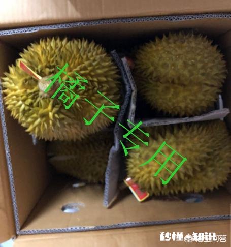 在哪里买水果最好