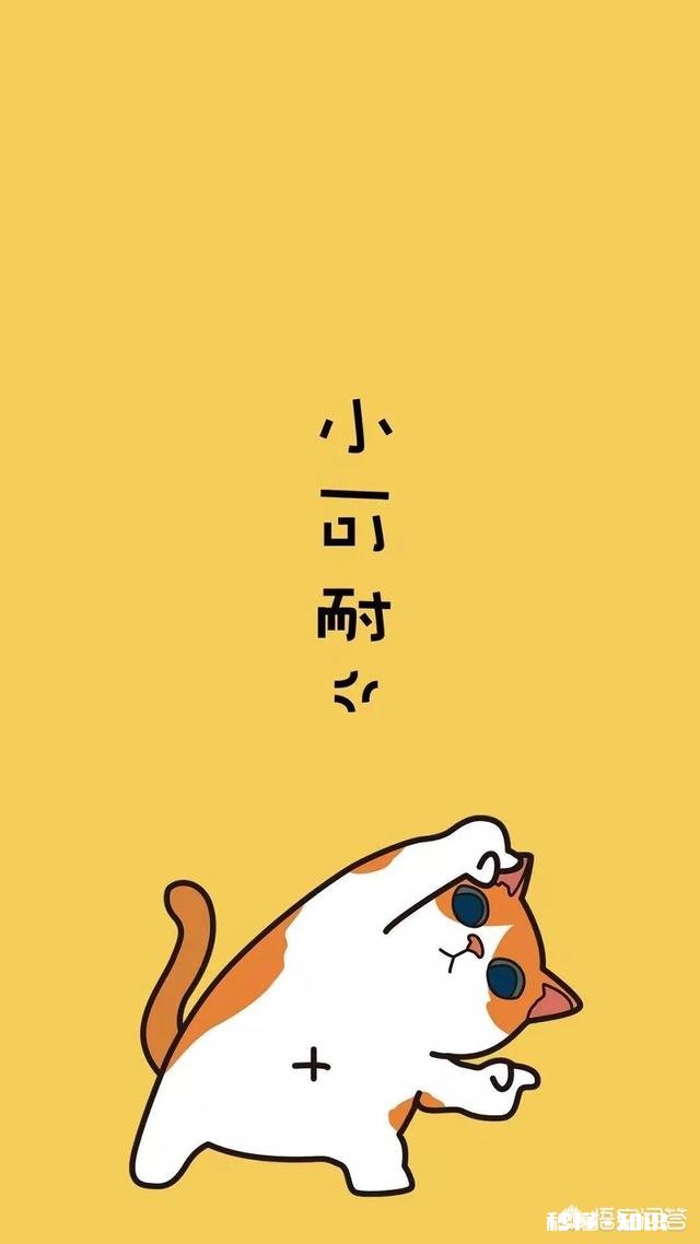 壁纸的种类有哪些，不同分类的壁纸如何区分