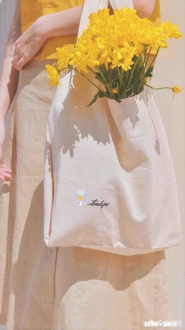 壁纸的种类有哪些，不同分类的壁纸如何区分