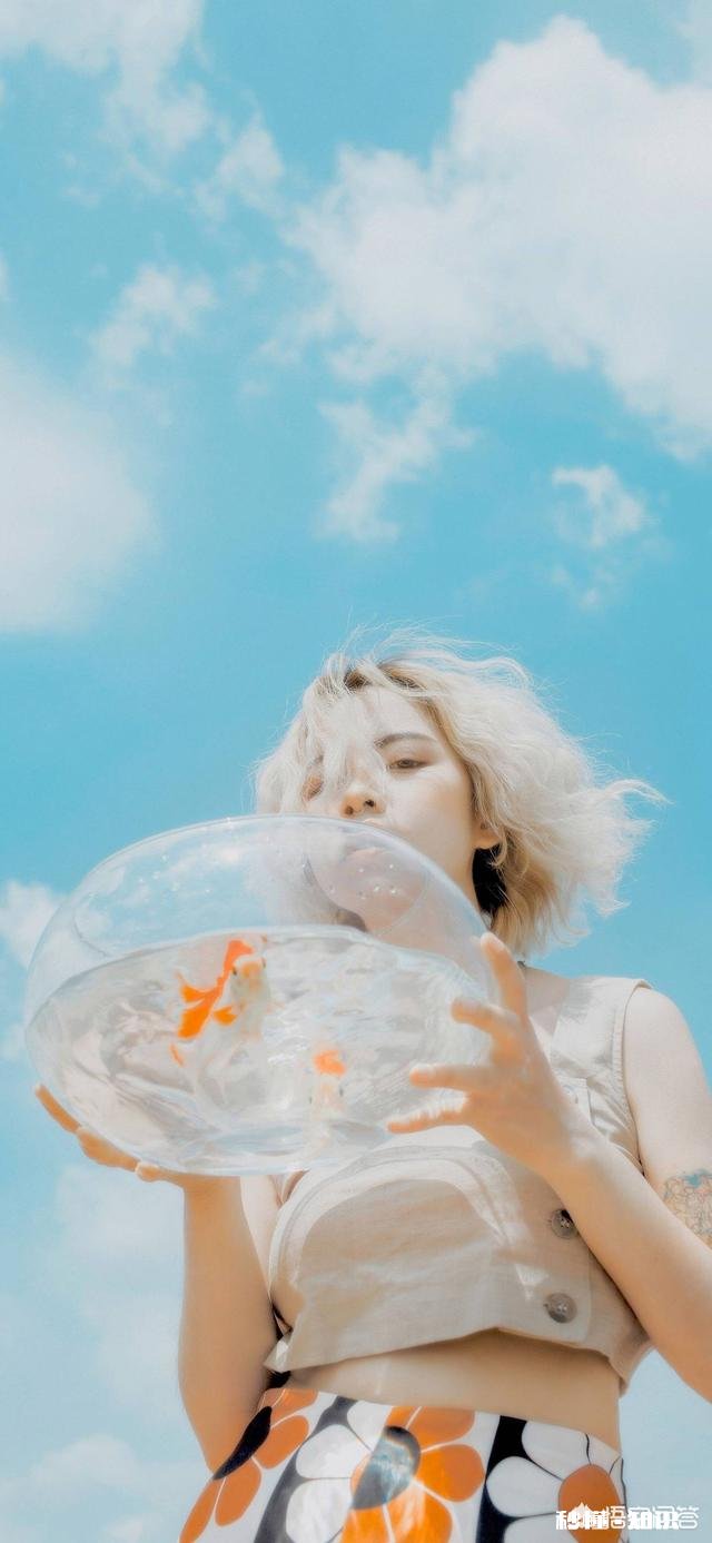 壁纸的种类有哪些，不同分类的壁纸如何区分