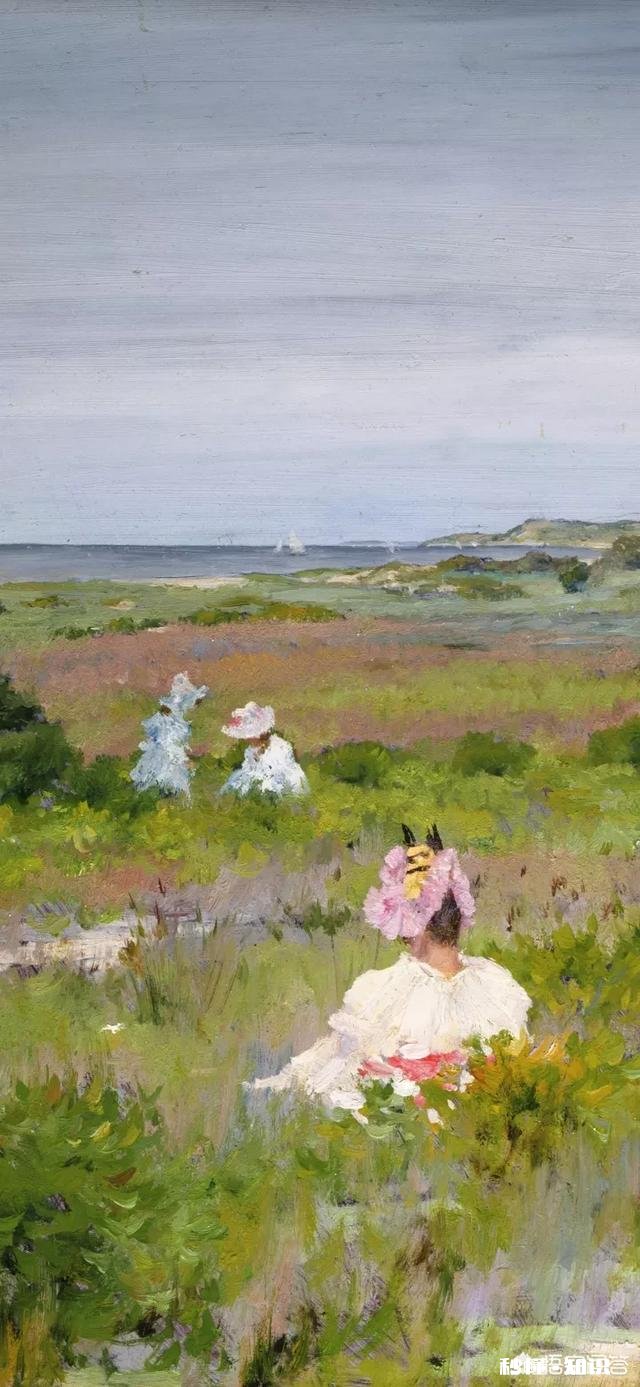 壁纸的种类有哪些，不同分类的壁纸如何区分