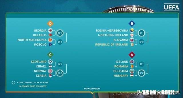 请问一下，今年的欧锦赛会延期吗