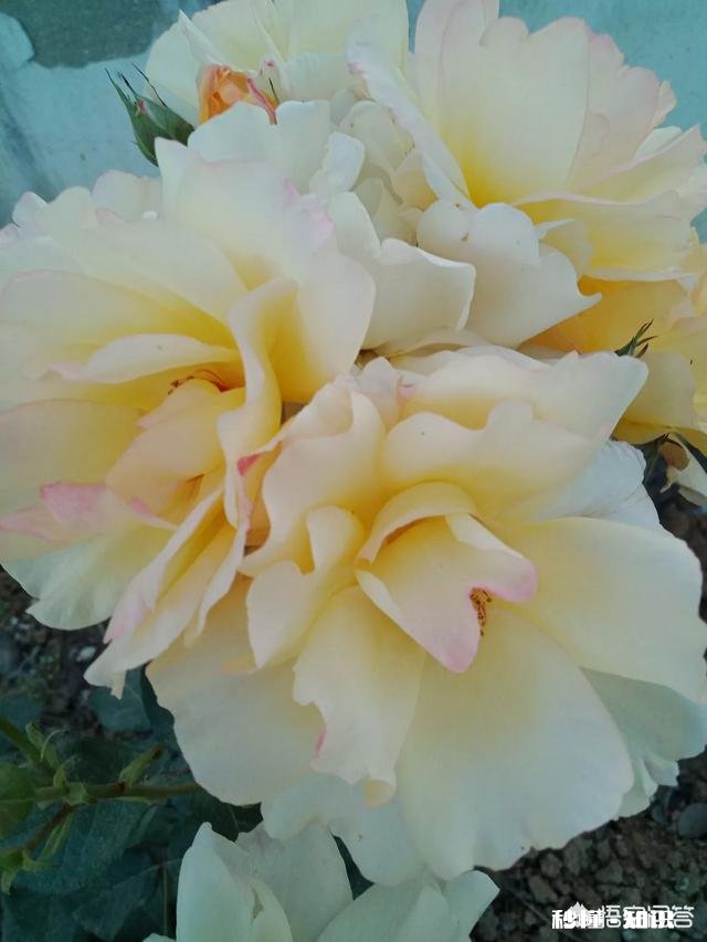 教师补课，为何成了有的人茶余饭后的热门话题