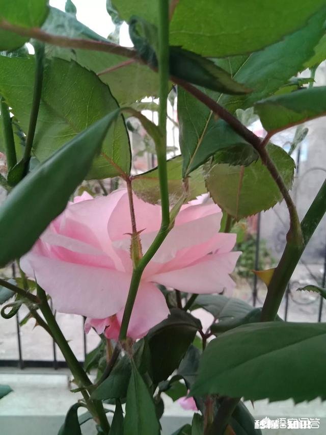 教师补课，为何成了有的人茶余饭后的热门话题