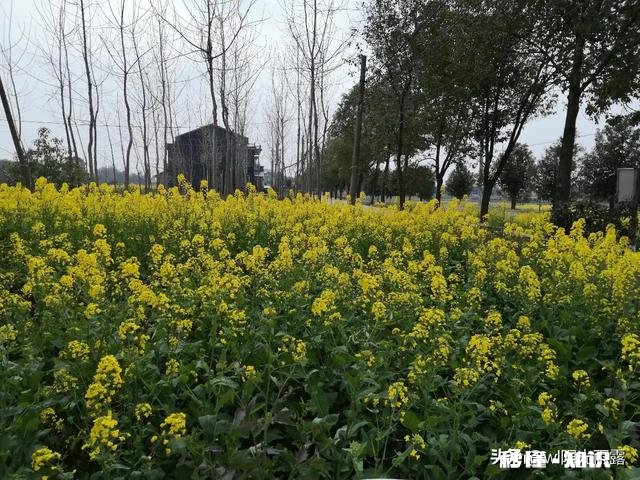 如何看待从众问题