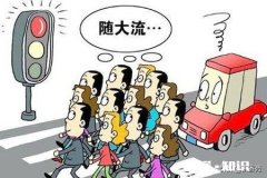 如何看待从众问题