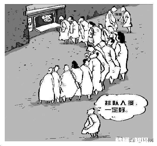 如何看待从众问题