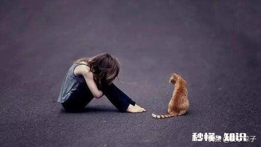 相亲栏目，可以帮助解决社交恐惧症吗一个人没有自信，怎么办