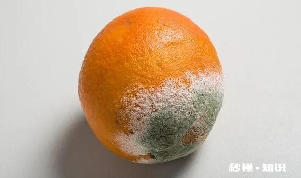 艾滋病患者在饮食方面需注意哪些忌口