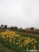 怎么样才能让公公婆婆主动提出来分开住