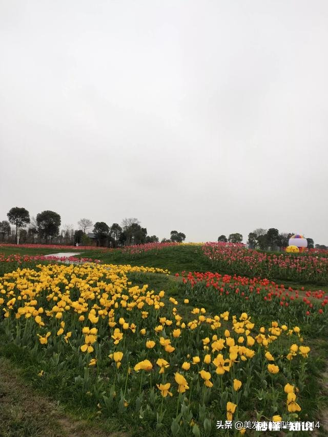 怎么样才能让公公婆婆主动提出来分开住