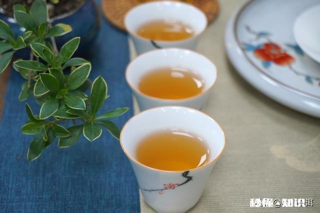 请问大益普洱茶7542适不适合作为入门茶