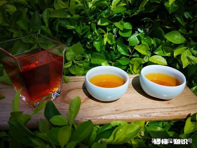 普洱茶,是纯料,还是拼配茶值得存放各自存放10年,哪个好