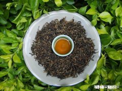 普洱茶，是纯料，还是拼配茶值得存放各自存放10年，哪个好