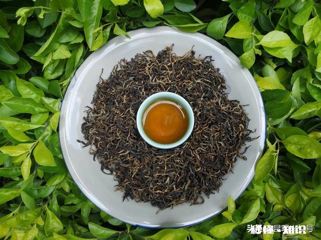 普洱茶,是纯料,还是拼配茶值得存放各自存放10年,哪个好