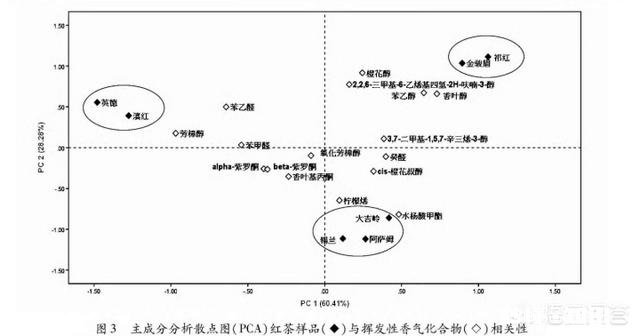 “祁门香”是什么感觉的香