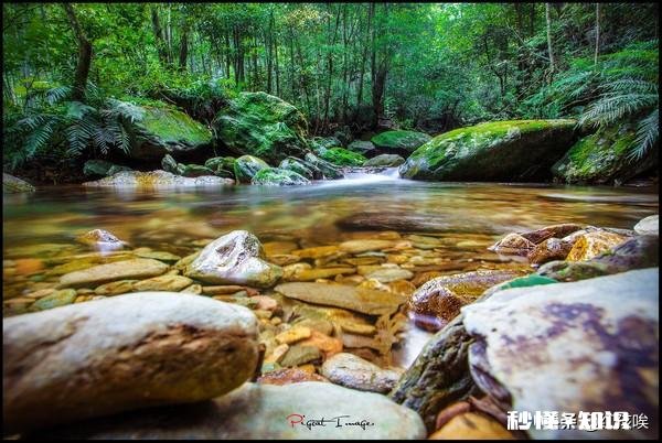 “隔篁竹，闻水声，如鸣珮环，心乐之”采用了什么表现手法