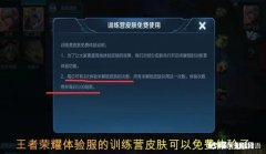 王者荣耀：训练营可以免费体验皮肤，快捷语音干得漂亮重新配音，你认为有用吗