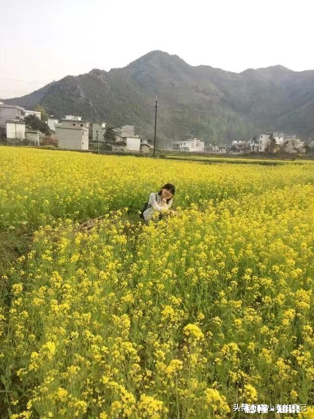 如何看待婆媳关系,是谁造成的,如何评判彩礼多少,我这样做对不对