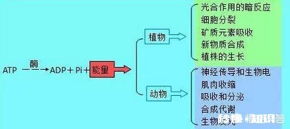 当今社会,我们从青少年开始应该注重的教育是什么是不是先从文明礼仪开始