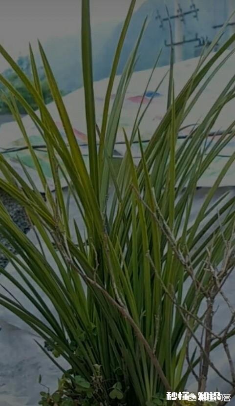 当今社会,我们从青少年开始应该注重的教育是什么是不是先从文明礼仪开始